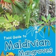 Small MV mangrove book