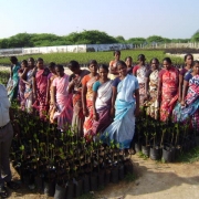 Mangrove Nursery trainings for women in SGHs