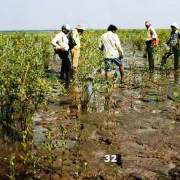 Research Team at Khambat