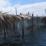 Floating cage system