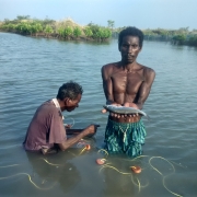 Harvesting fish from the IMFFS ponds, Mudasalodai village, Tamil Nadu