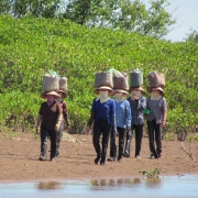 On the way back home after collecting aquatic resources