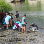 Wildlife club members at Independent school receiving training and planting mangrove seedlings in the wetland site