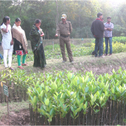 Communities are capacity built in mangrove nursery, and plantation techniques