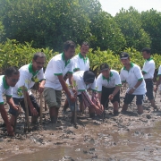 Planting Mangrove by All Stakeholders