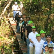 Queing to see mangroves from atop the Ream National Park observation tower.