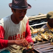 Sunail harvesting crabs and packing them in a "tail-down" position with their arms and legs folded inward toward their bodies to be sold in live conditions