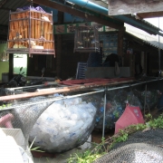Waste recycling area in the community 