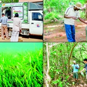 Clockwise from left: The Aloe Vera health drink truck; water collection from a well for chemical analysis; Mangrove assessment in Panama; seagrass underwater meadow