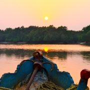 Sunset over Bhitarkanika mangrove forest