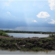 Shrimp pond in Thanh Hai Commune