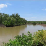 Project area in Thanh Phong, Ben Tre, Vietnam