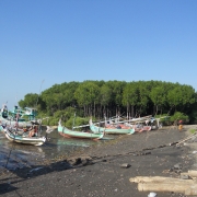Traditional harbour management with  mangroves forest cultivation at Pasuruhan_Field Verification 23 May 2012