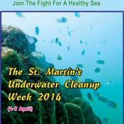 Annual cleaning week in Saint Martin's Island