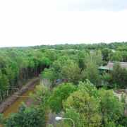 Mangroves populated area in Ca Mau Province