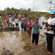 Mootilango village women groups in a mangrove planting activity (WIRE-G)