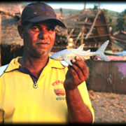 A fisherman holds up a Whale Shark toy in support of the conservation programme