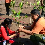 Mangrove planting activity by engaging elementary students