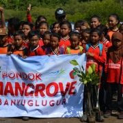 The 5th graders of Banyuglugur Elementary School taking part in mangrove planting