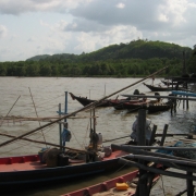 Clam habitat area in Baan Siabyuan 