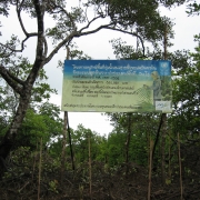 Conserving wetlands Andaman Coast 