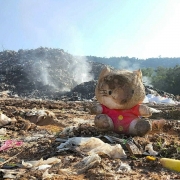 A charred toy sits in front of the 'golden mountain'