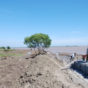 Coastal erosion in Tan Phu Dong District