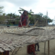 Fish drying 