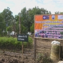 A newly established project nursery has been producing more than 2,000 seedlings of mangrove to be planted in the up-scaled plot of 80 ha in project location. 