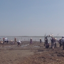 Buddhists and school pupils plant mangrove in coastal erosion area