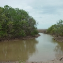 Shrimp mangrove polyculture at An Thuy Commune, Ba Tri District, Ben Tre Province