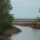 Shrimp mangrove polyculture at An Thuy Commune, Ba Tri District, Ben Tre Province