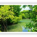 Huraa mangroves will undergo a biodiversity assessment & ecological valuation under a small grant facility project in MFF