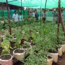 Climate-smart integrated vegetable farming