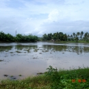 Vembanad Kol wetlands, Kerala