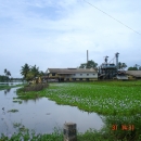 Vembanad-Kol backwaters, Kerala