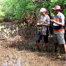 Conducting mangrove ecological assessments