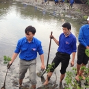 Youth Union members in blue and mangroves replantation
