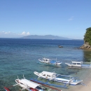 Puerto Galera, pioneer site of Green Fins in the Philippines