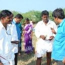 Assessing mangroves