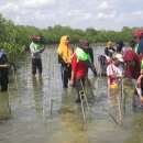 Women’s group participating in mangrove planting