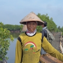 Participation women for coastal rehabilitation and set up alternative income 