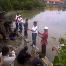 Replanting of Mangrove in LGF Activity 