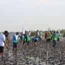 Vocational high school students taken part in mangrove planting activity