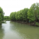 Shrimp mangrove polyculture at Long Khanh and Dong Hai Commune