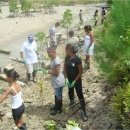 Mangrove site restoration by WCS clubs