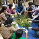 Women beneficiaries were trained for sorting organic waste into compost at Jakarta project site