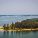 An island in Thu Bon River 