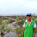Samsuri and mangrove saplings planted as part of the MFF Small Grant Facility (SGF) project