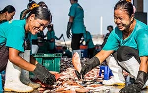 Two women sorting fishes